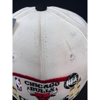 Vintage 1996 Chicago Bulls NBA Champions Hat Twins Enterprise USA New With Tags