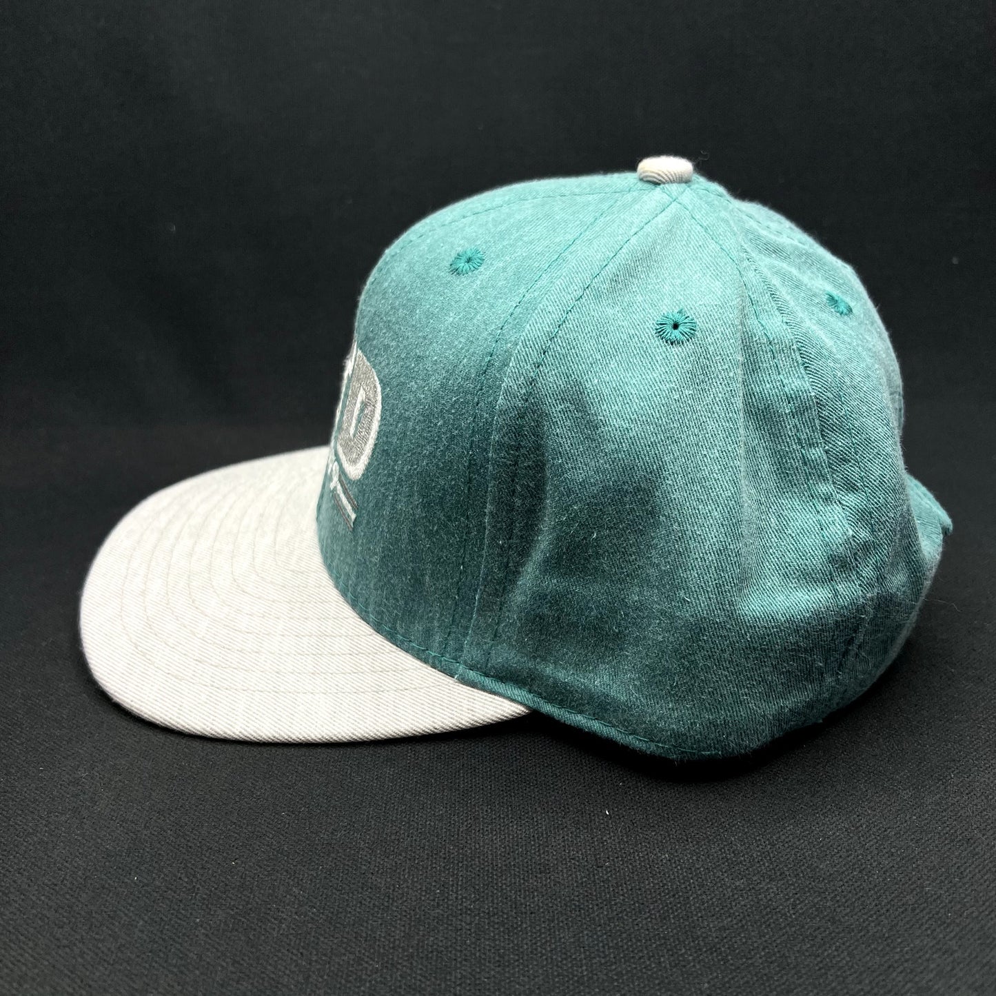 Vintage Aspen Valley Transit Department VTD Snapback Hat California Headwear USA