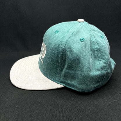 Vintage Aspen Valley Transit Department VTD Snapback Hat California Headwear USA