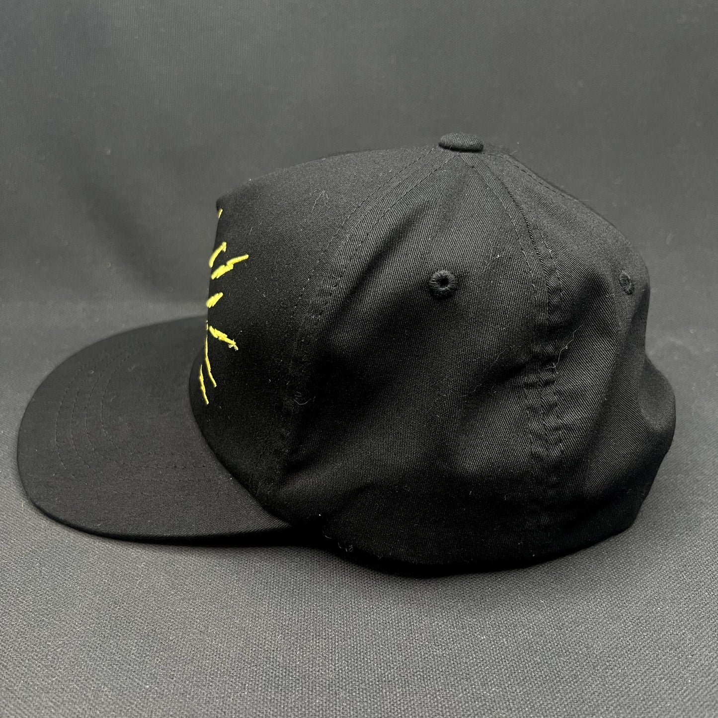 The Hundreds x Warner Bros Tasmanian Devil Snapback Hat Taz Looney Tunes