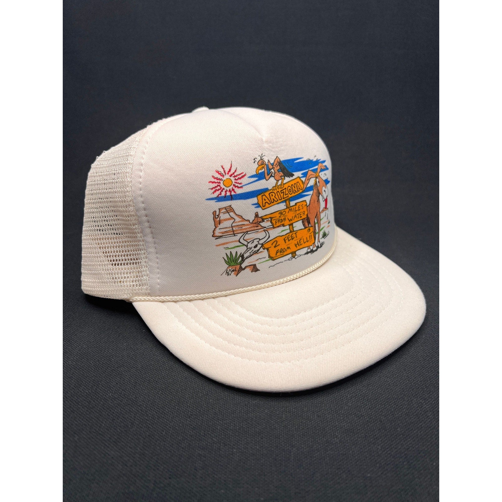 Vintage Late 1980s Arizona Desert Cartoon Trucker Hat – Headmost Taiwan ROC