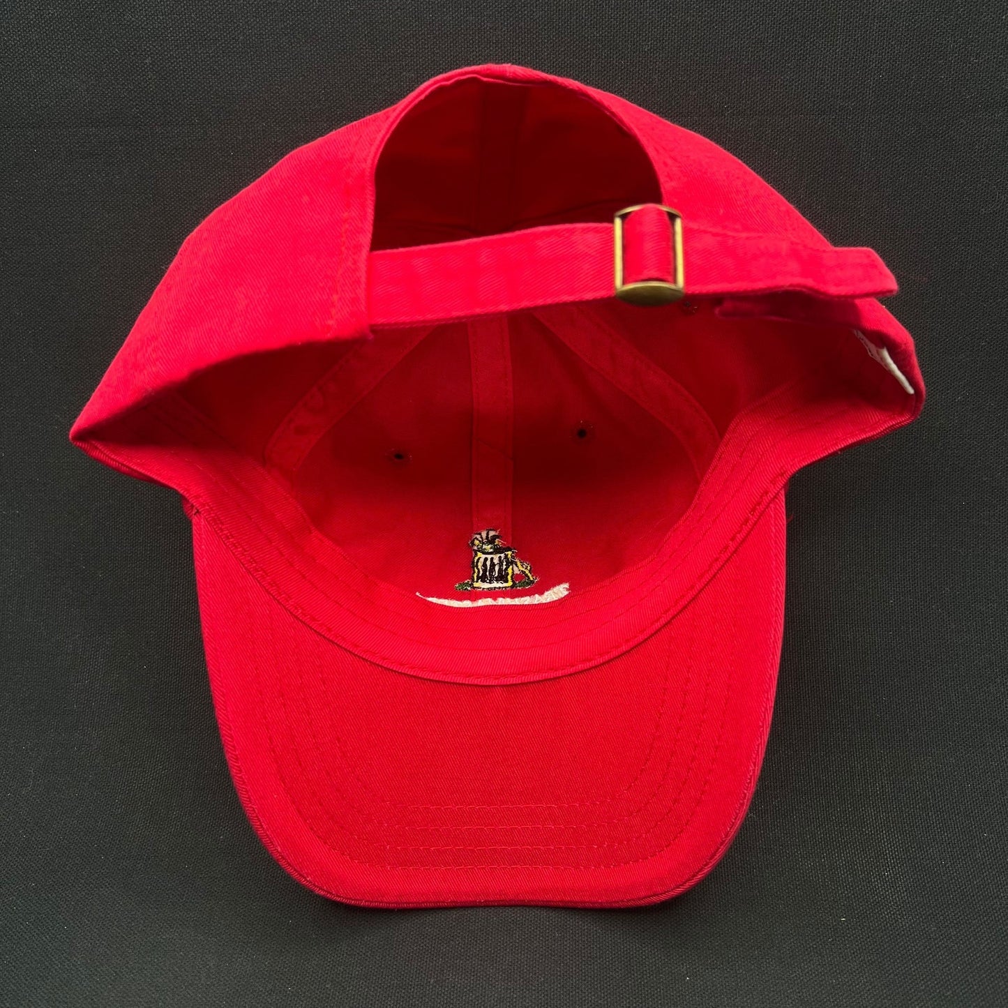 Trashmasters Aspen Golf Strapback Hat Red Vintage Style Promo Cap