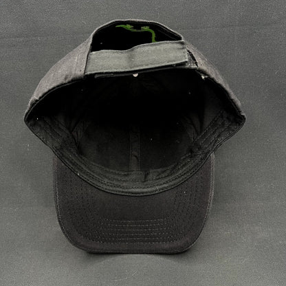 Disney Pixar The Good Dinosaur Strapback Hat Black Movie Promo