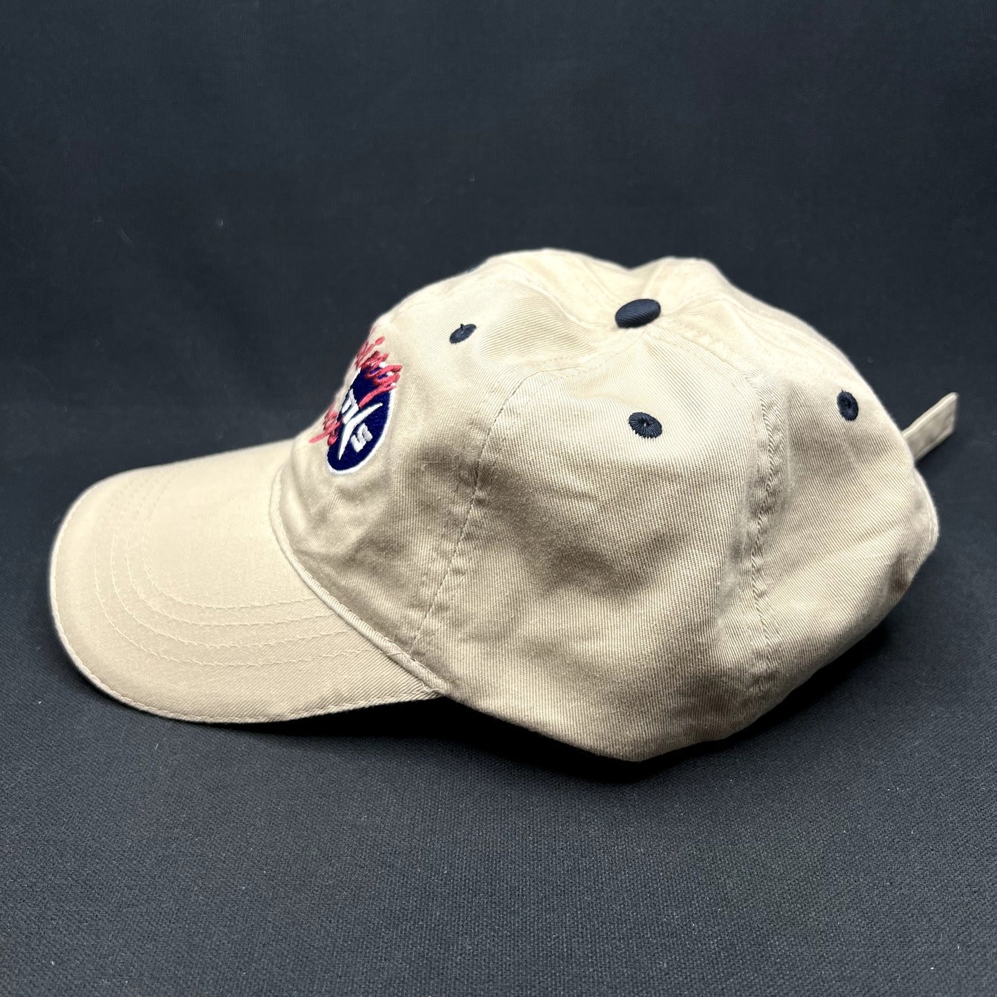 Vintage Weeping Wing TKS AS&T Otto Strapback Hat Aviation Promo Cap