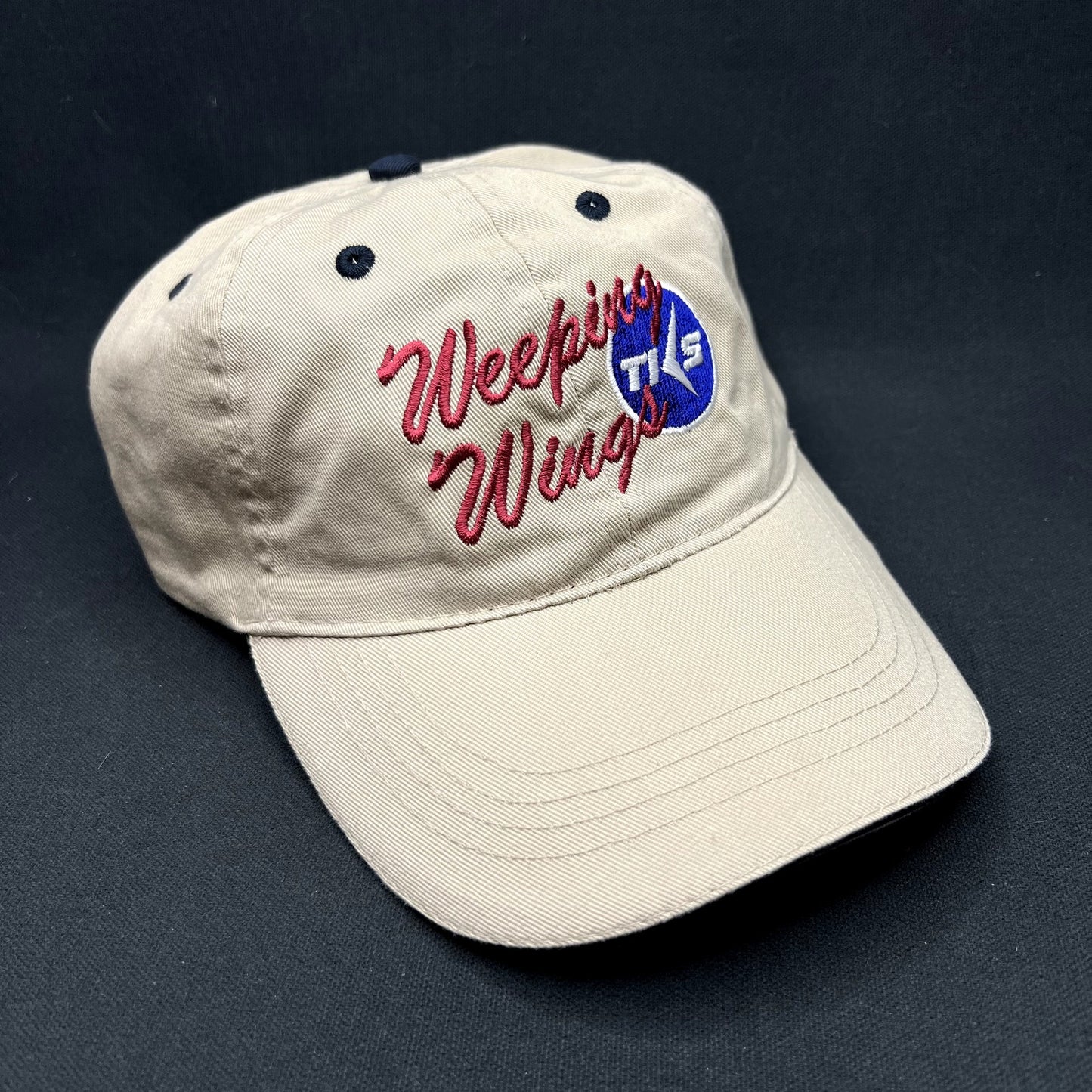 Vintage Weeping Wing TKS AS&T Otto Strapback Hat Aviation Promo Cap