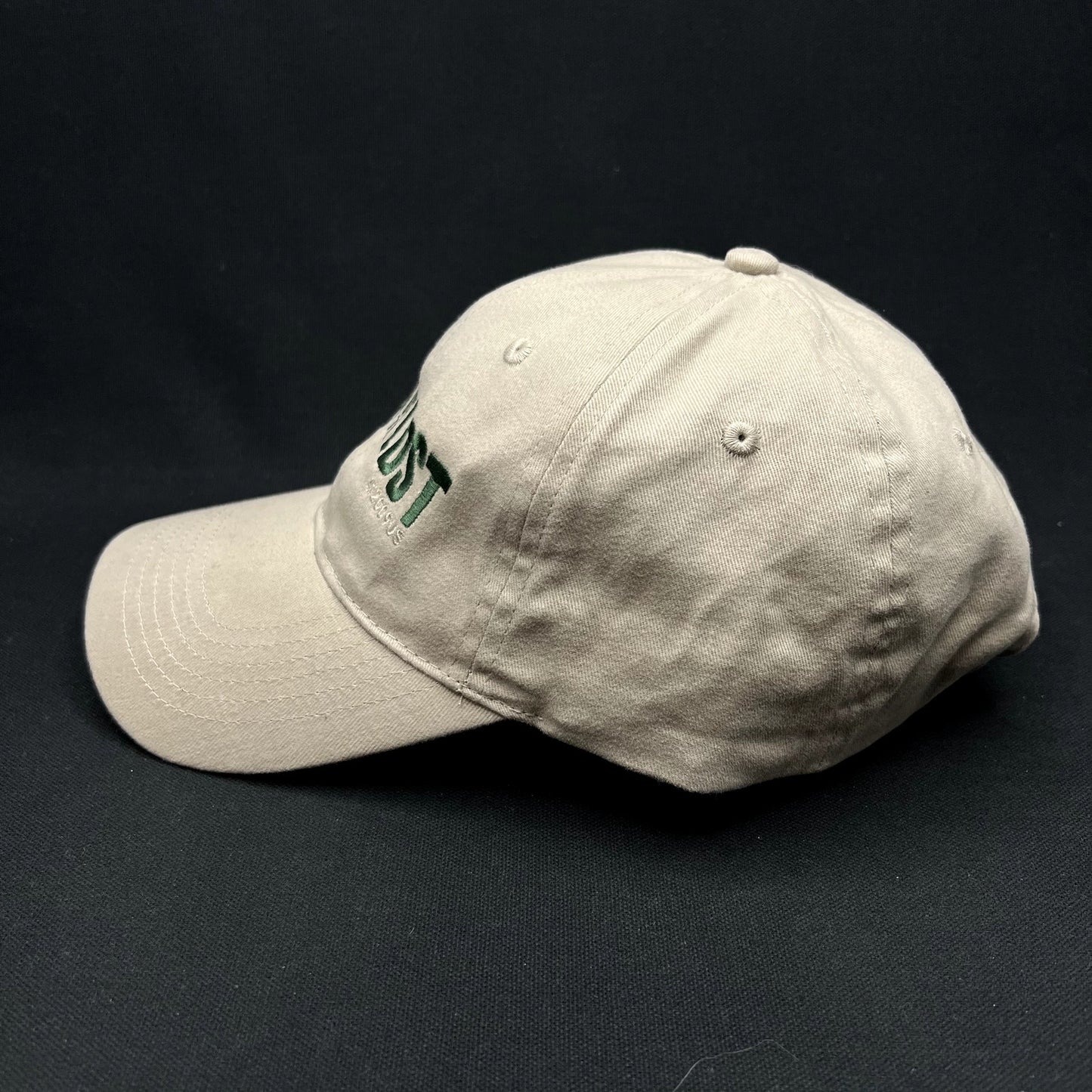 2009 Land of the Lost Movie Strapback Hat Will Ferrell Promo Cap
