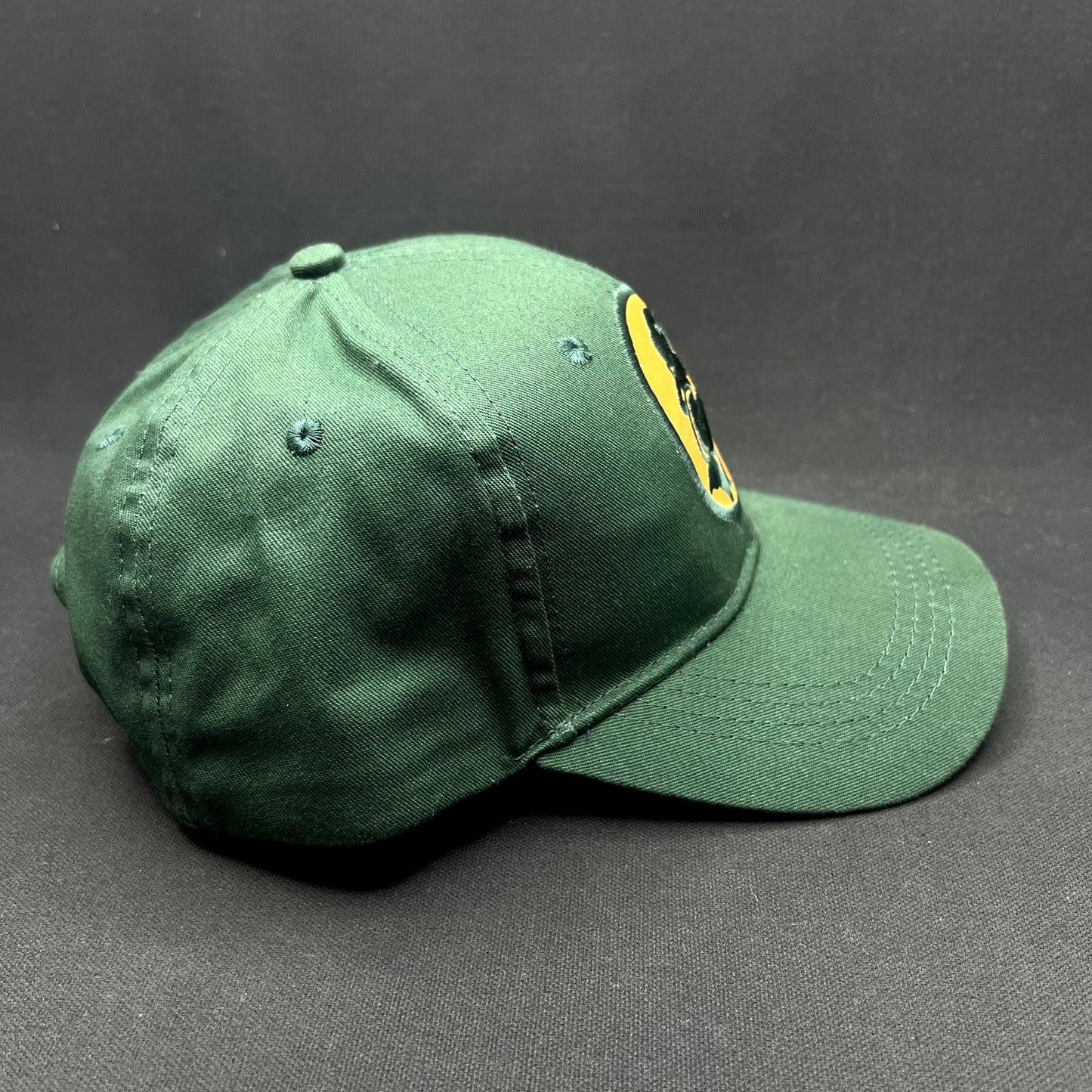 Mami Wata Surf Snapback Hat Green African Surf “Money Cannot Cure Death”
