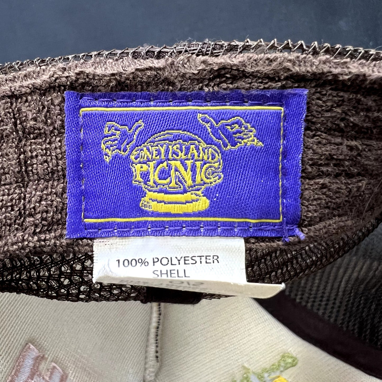 Coney Island Picnic Your Wish Is Granted Trucker Snapback Hat