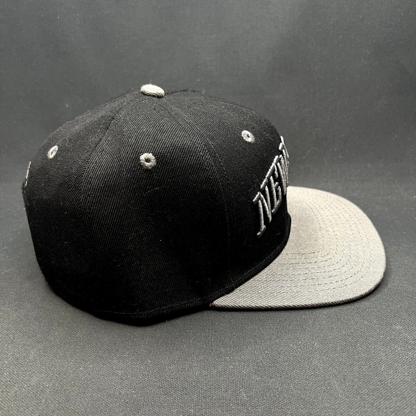 Newsboys Love Riot Tour Snapback Hat Christian Band CSW Merchandisew
