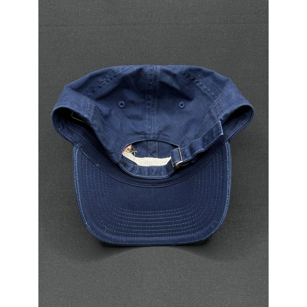 Pirate Brands Embroidered Dad Hat – Navy Cotton Strapback