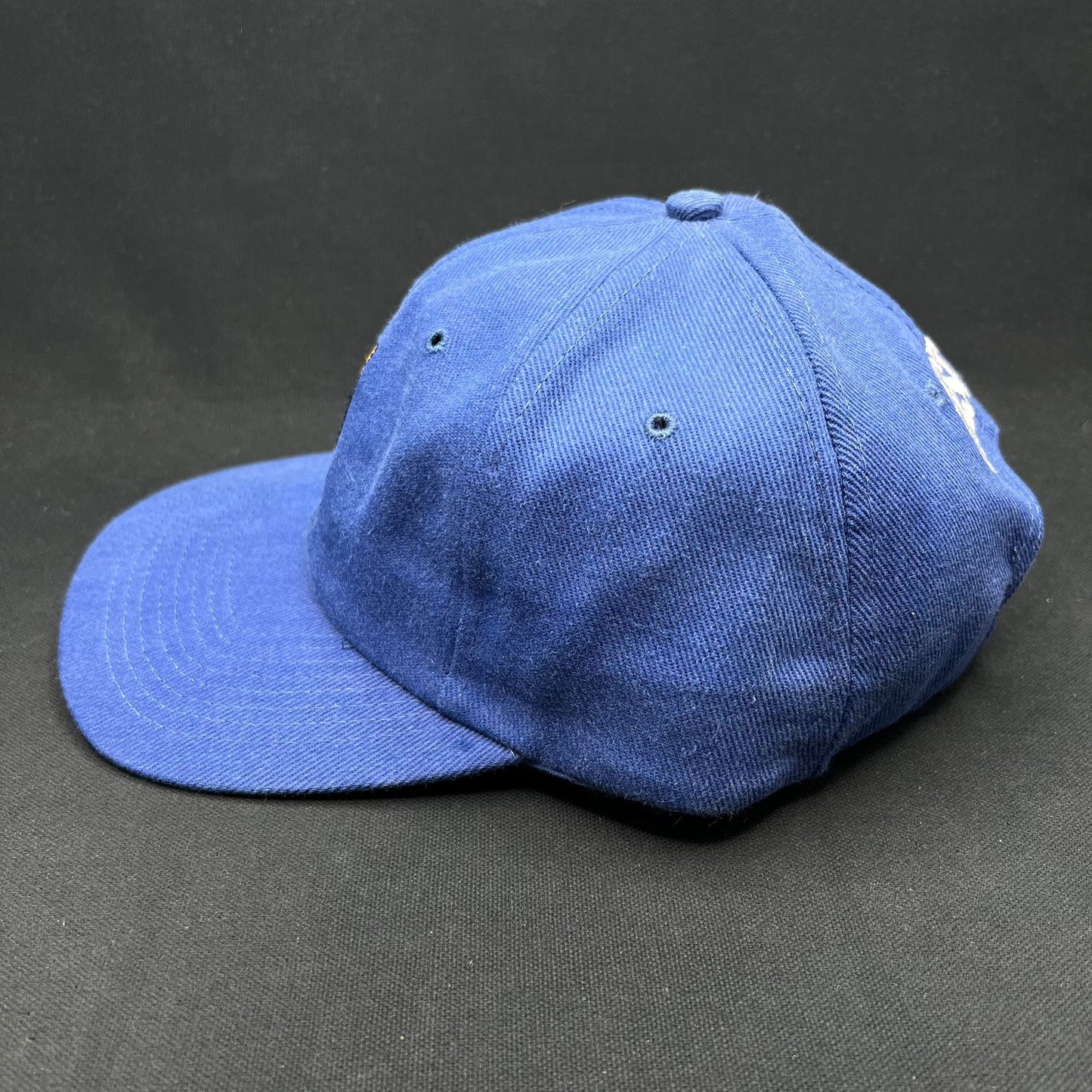 Vintage 1998 Firestorm Movie Cast & Crew Strapback Hat Nissin