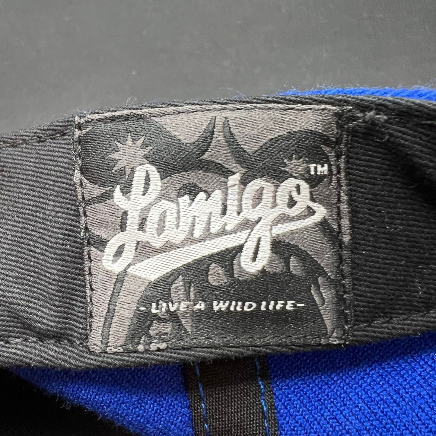 2017 Taoyuan Baseball Snapback Blue Raven Logo Hat