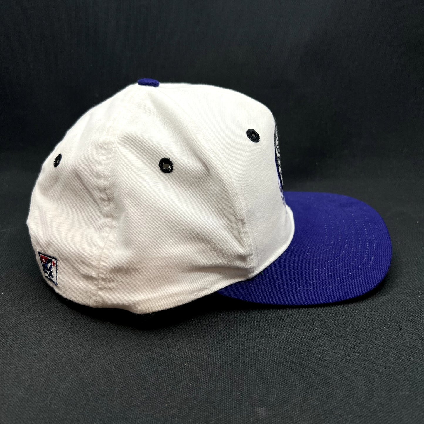 Vintage 1993 Colorado Rockies Inaugural Year Snapback Hat MLB Cap