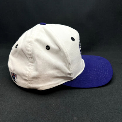 Vintage 1993 Colorado Rockies Inaugural Year Snapback Hat MLB Cap