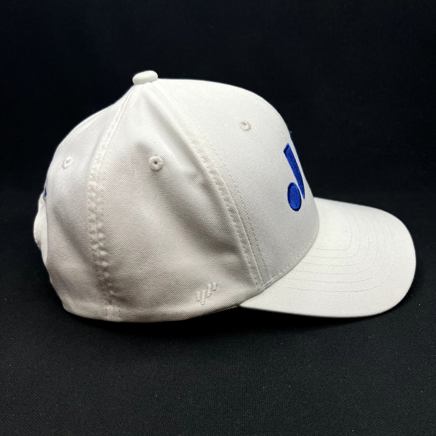 Just Like You Films White Blue Snapback Flexfit NU Hat