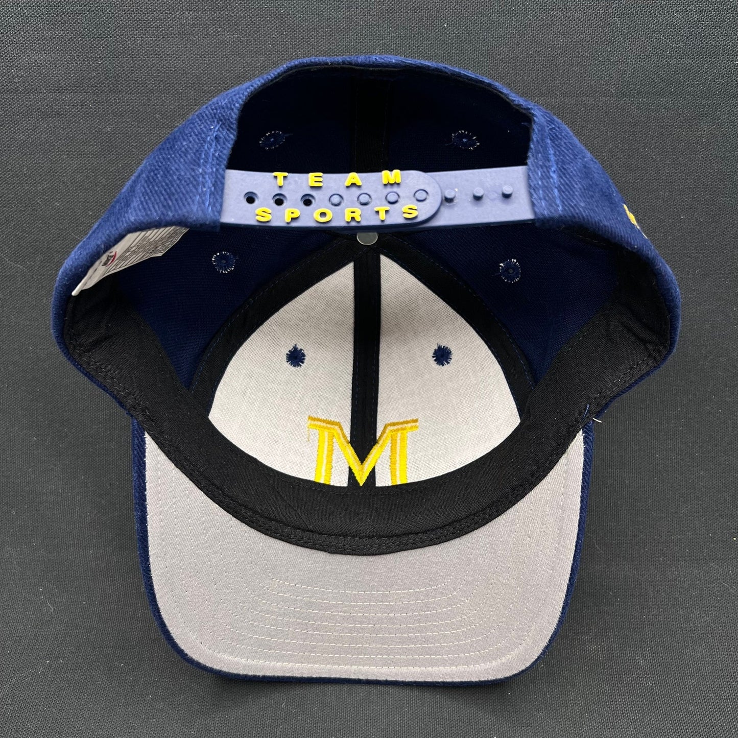 Vintage Nike Team Sports Michigan Wolverines 90s Snapback Hat