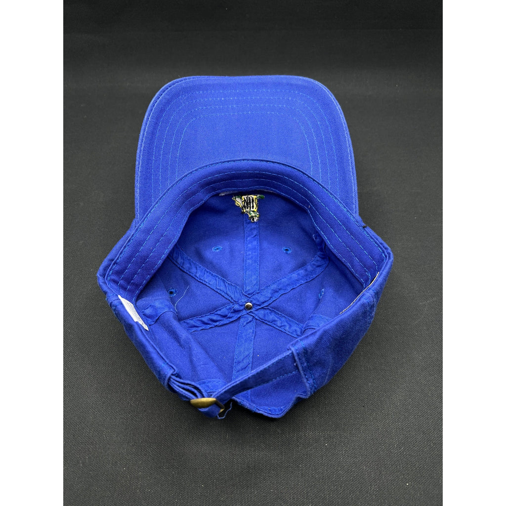 Vintage Trashmasters Aspen Golf Hat Royal Blue Strapback American Dry