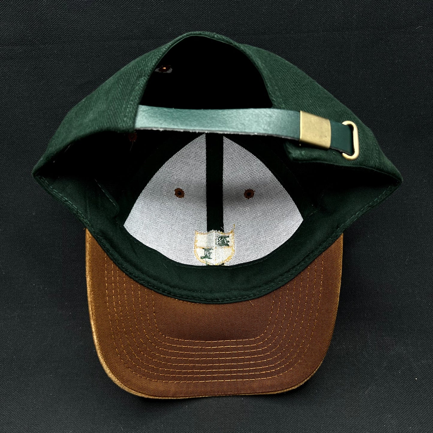 Vintage Desert Lake Golf Strapback Hat Suede Brim OTTO Leather Strap
