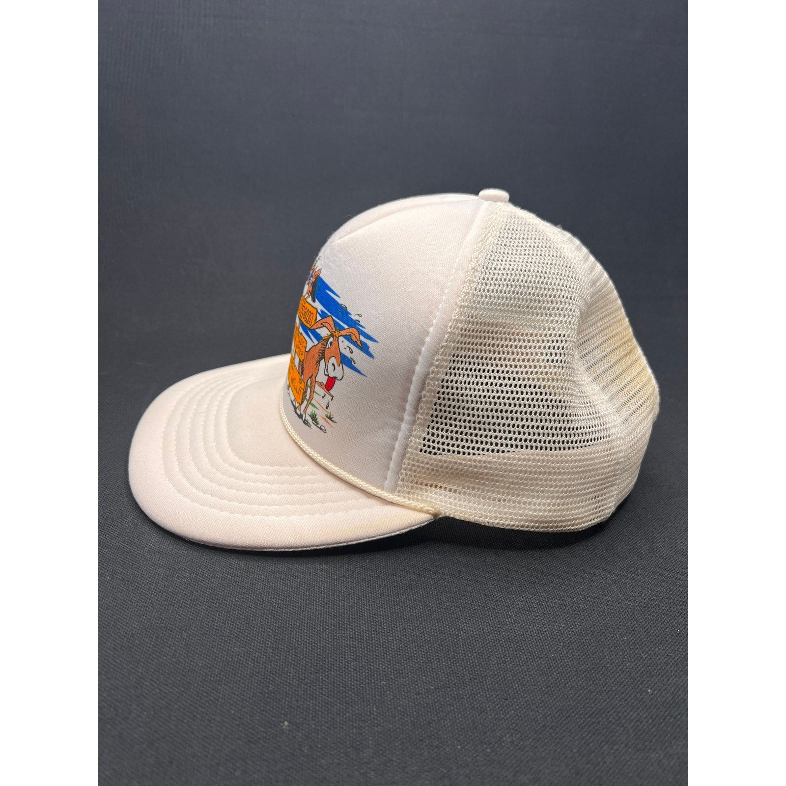 Vintage Late 1980s Arizona Desert Cartoon Trucker Hat – Headmost Taiwan ROC