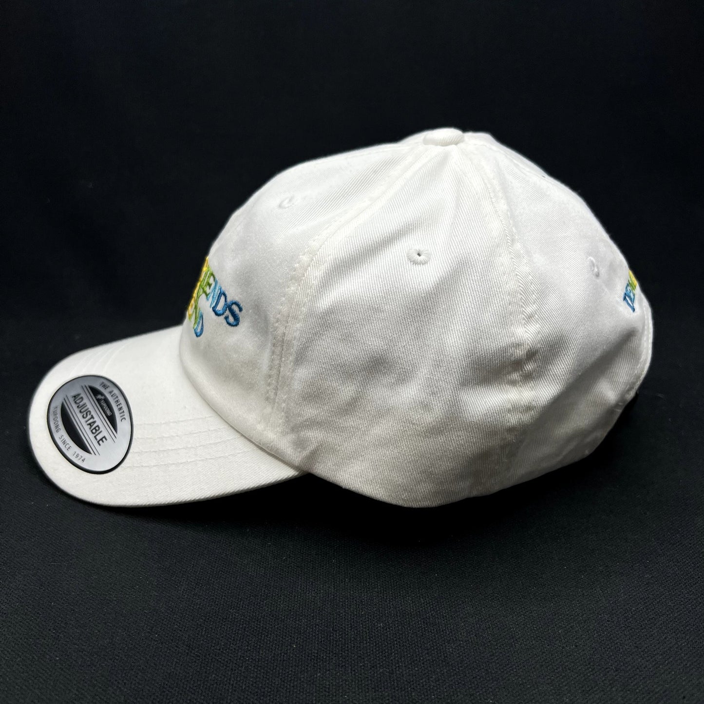 Demi Lovato My Girlfriends Are My Boyfriend Strapback Hat