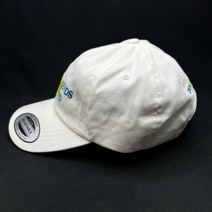 Demi Lovato My Girlfriends Are My Boyfriend Strapback Hat