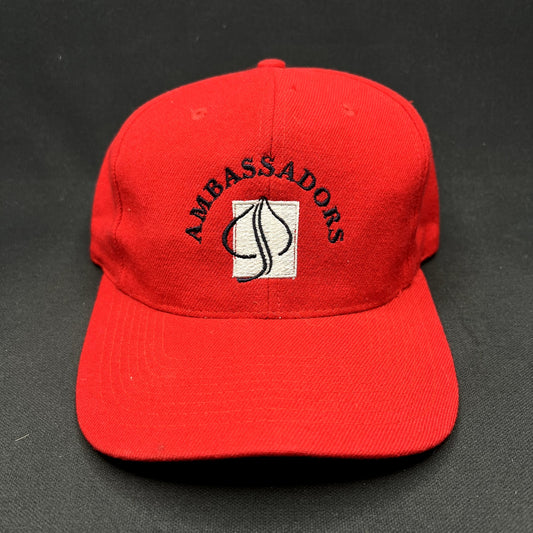 Vintage Aspen Ambassadors Snapback Hat Red Wool Blend Ski Resort Colorado TC