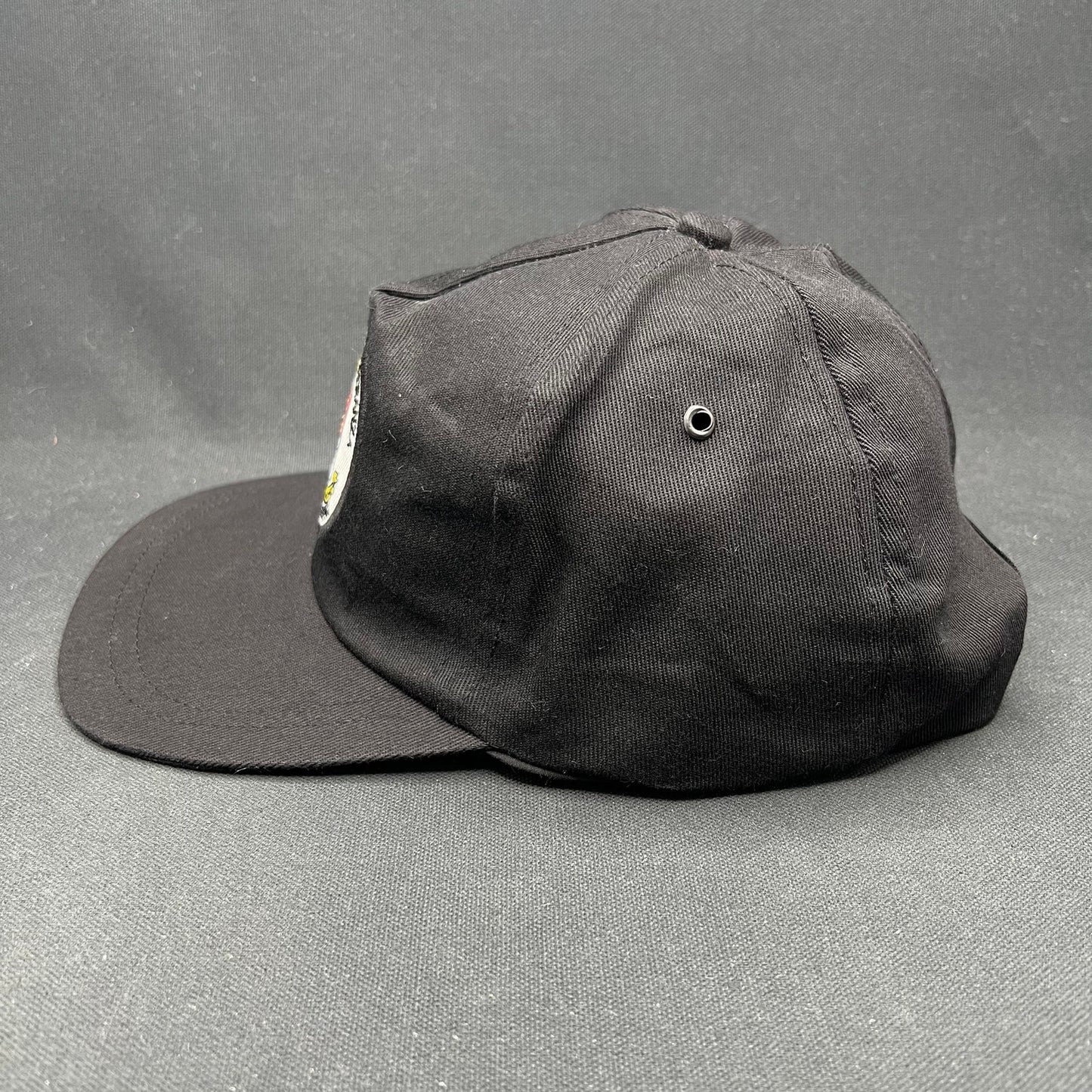 Vintage Antarctica Esperanza Argentina Patch Snapback Hat