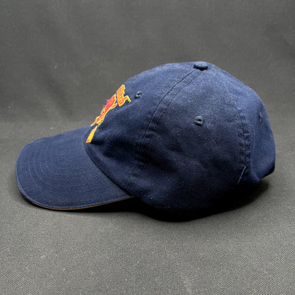 Y2K Harry Potter Gryffindor Quidditch Team Strapback Hat WB