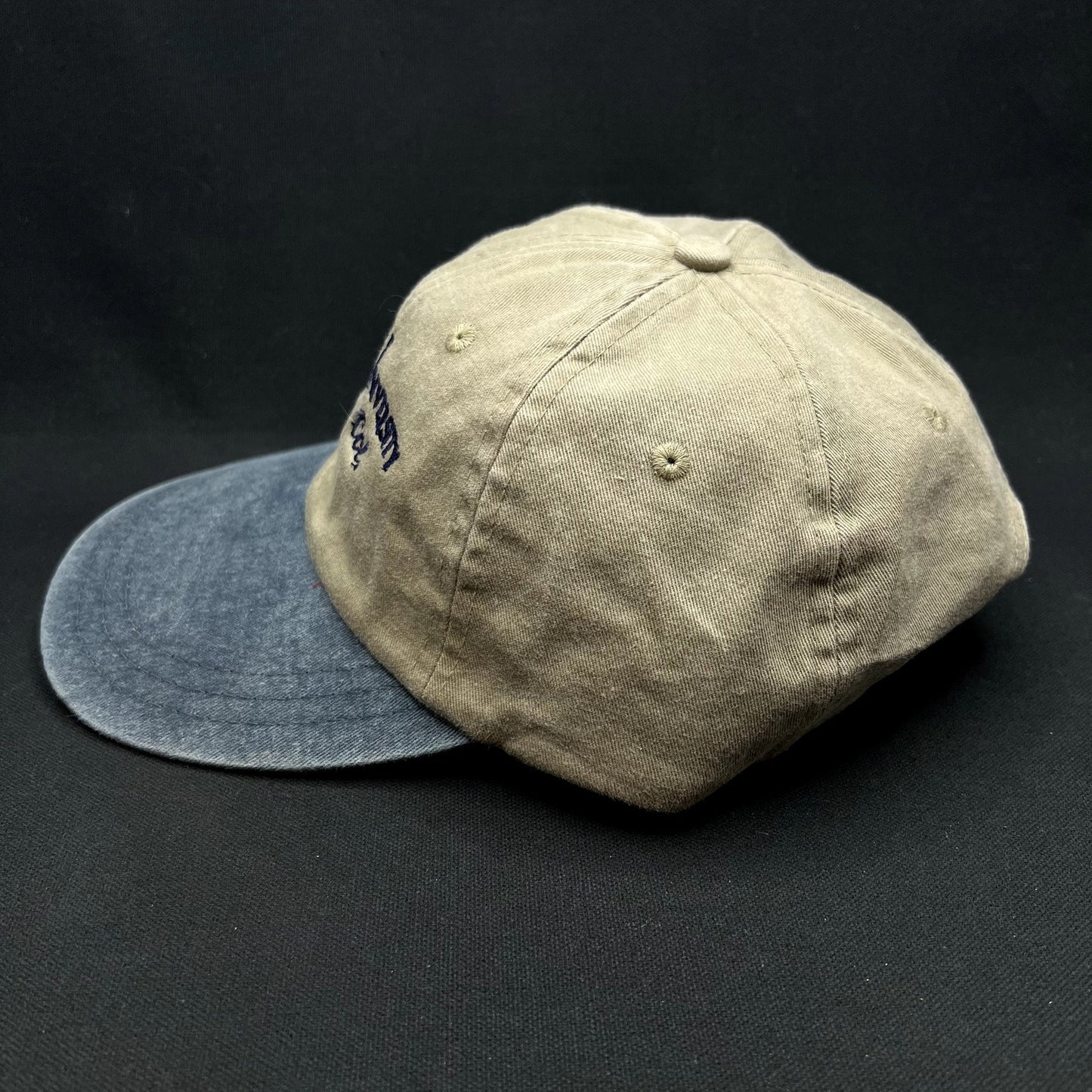 Vintage Cant-U-Niversity Aspen Colorado Strapback Hat Zkapz Dad Cap