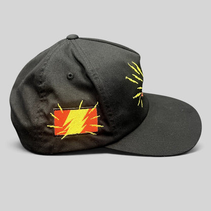 Raree Finds black The Hundreds x Warner Bros snapback hat with side Tasmanian Devil lightning bolt embroidery