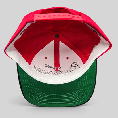 Raree Finds vintage 90s Chicago Blackhawks snapback hat interior showing green under-visor and adjustable strap