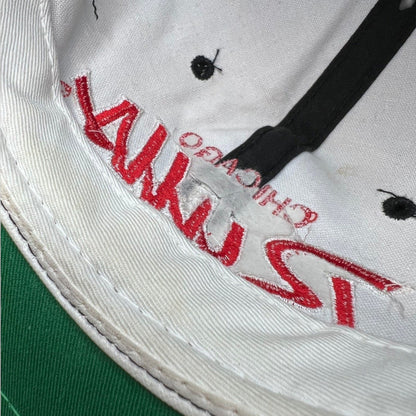 Raree Finds vintage Chicago Bulls snapback interior showing red script embroidery and green undervisor detail