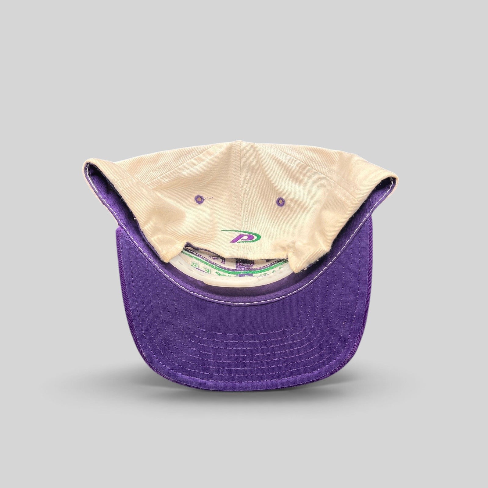 Raree Finds vintage 1990s Milwaukee Bucks Pro Player snapback hat with white crown and purple brim interior view