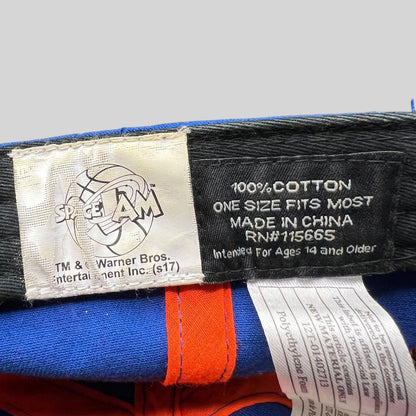 Raree Finds Space Jam Tune Squad hat interior label showing 100% cotton material and Warner Bros branding