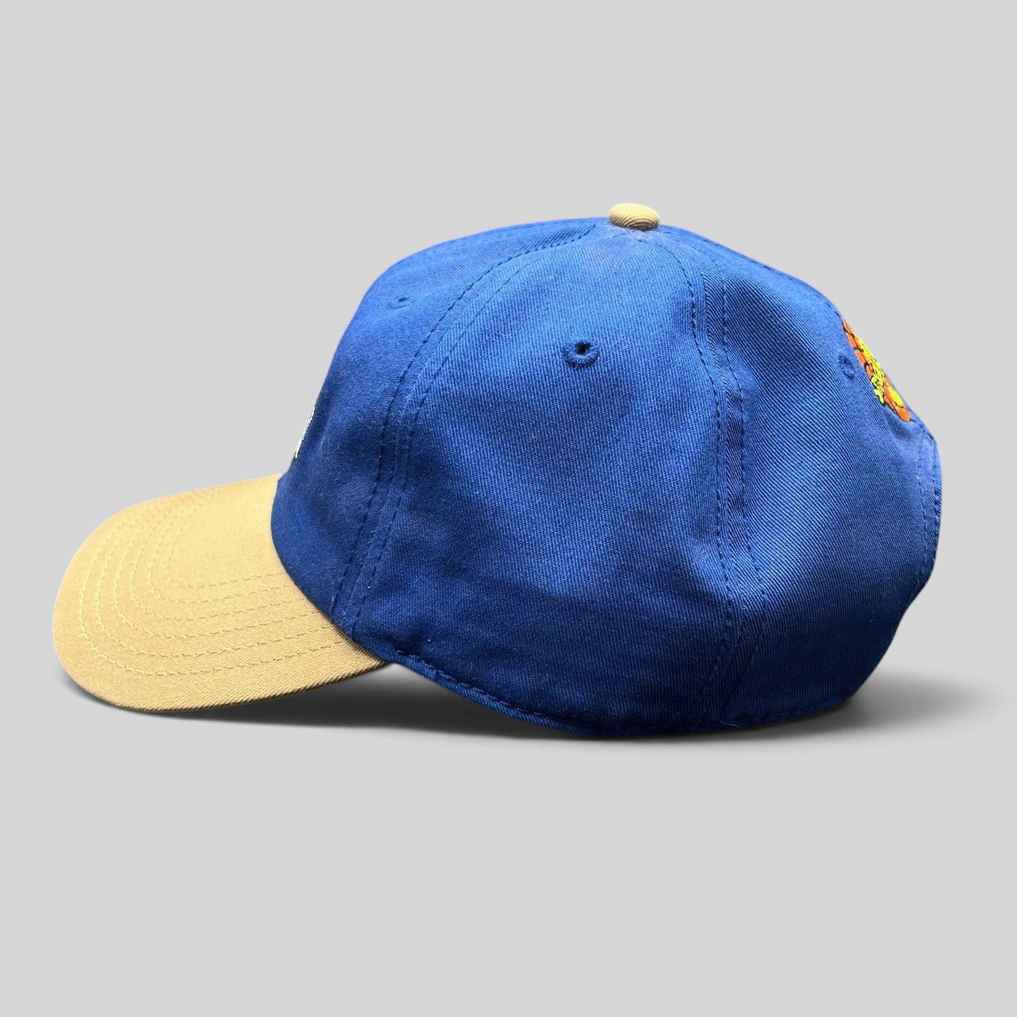 Raree Finds 2017 Space Jam Tune Squad strapback hat with a royal blue cotton crown and contrasting khaki curved brim.