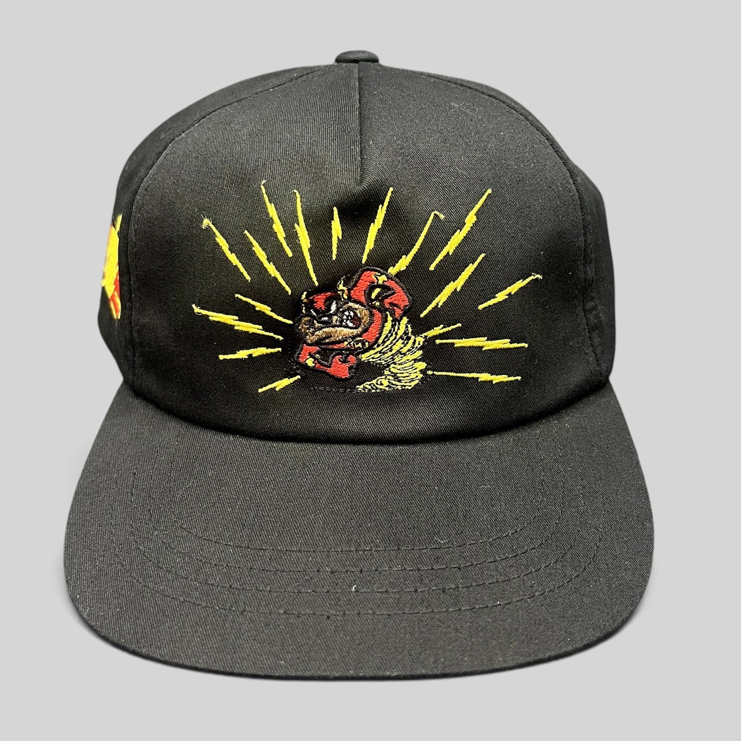 Raree Finds The Hundreds x Warner Bros black snapback hat featuring an embroidered Tasmanian Devil with lightning.