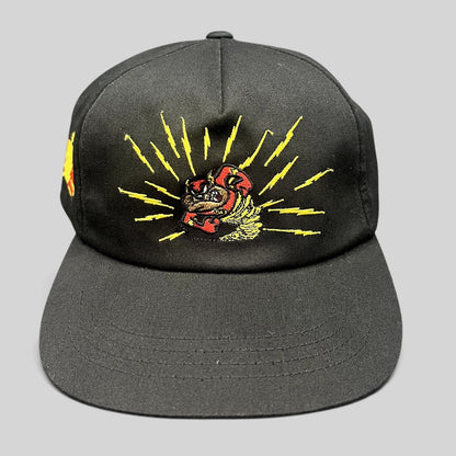 Raree Finds The Hundreds x Warner Bros black snapback hat featuring an embroidered Tasmanian Devil with lightning.