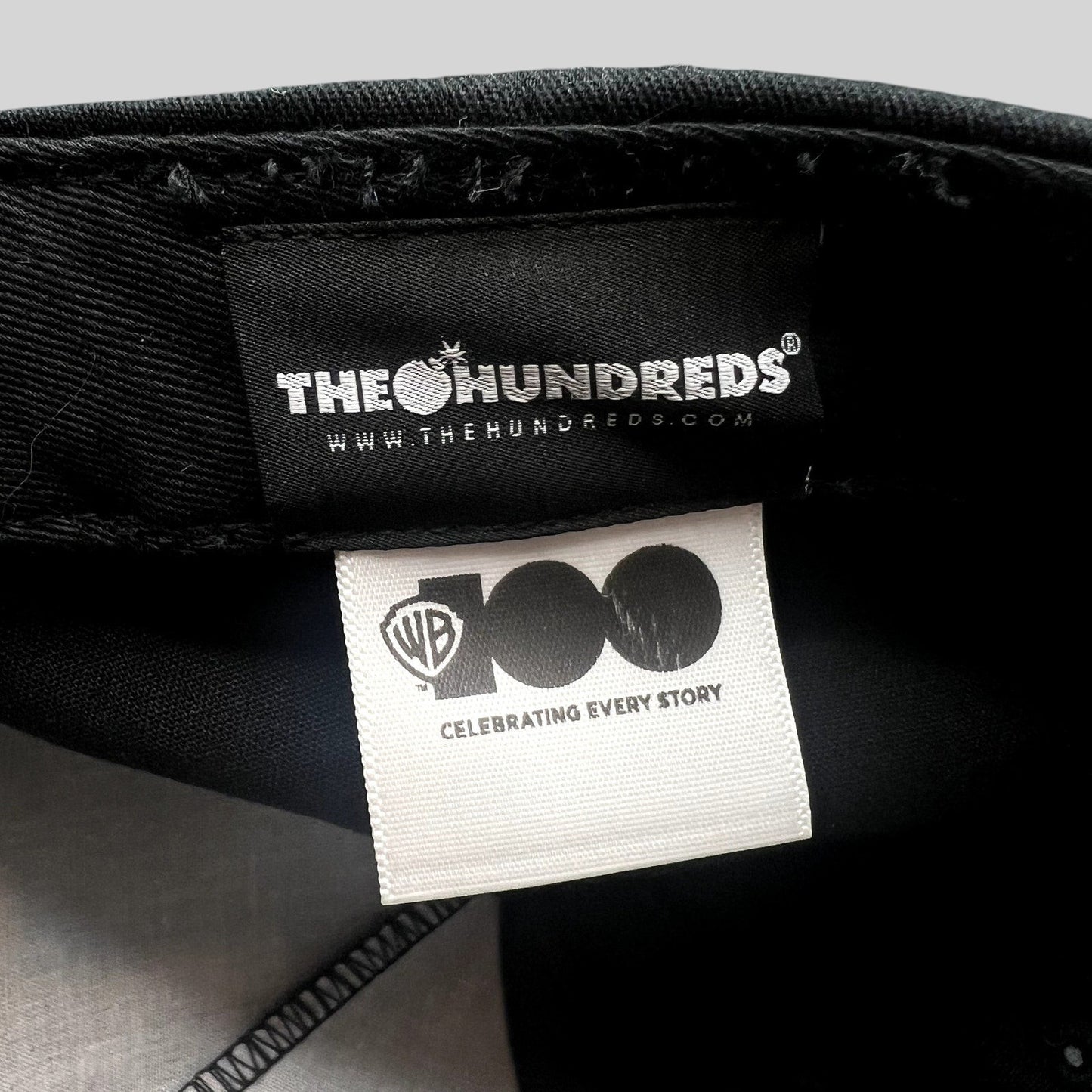 Raree Finds The Hundreds x Warner Bros collaboration interior hat tags with Celebrating Every Story branding