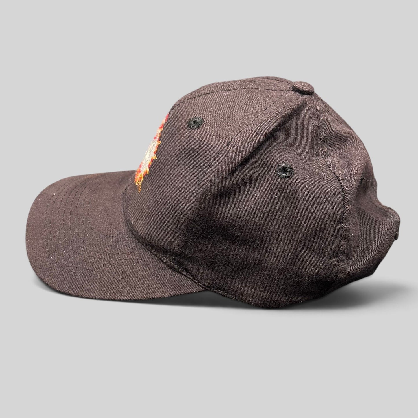 Raree Finds vintage 1994 black cotton Cat in the Hat snapback hat with embroidered graphic side view